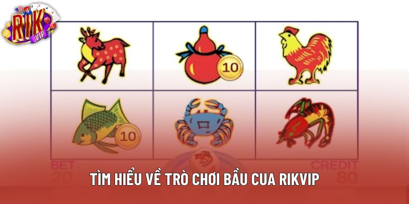 Tìm hiểu về trò chơi bầu cua rikvip Tìm hiểu về trò chơi bầu cua rikvip